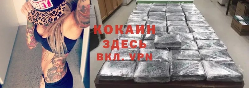 ОМГ ОМГ ссылки  что такое   Боровичи  Cocaine VHQ 